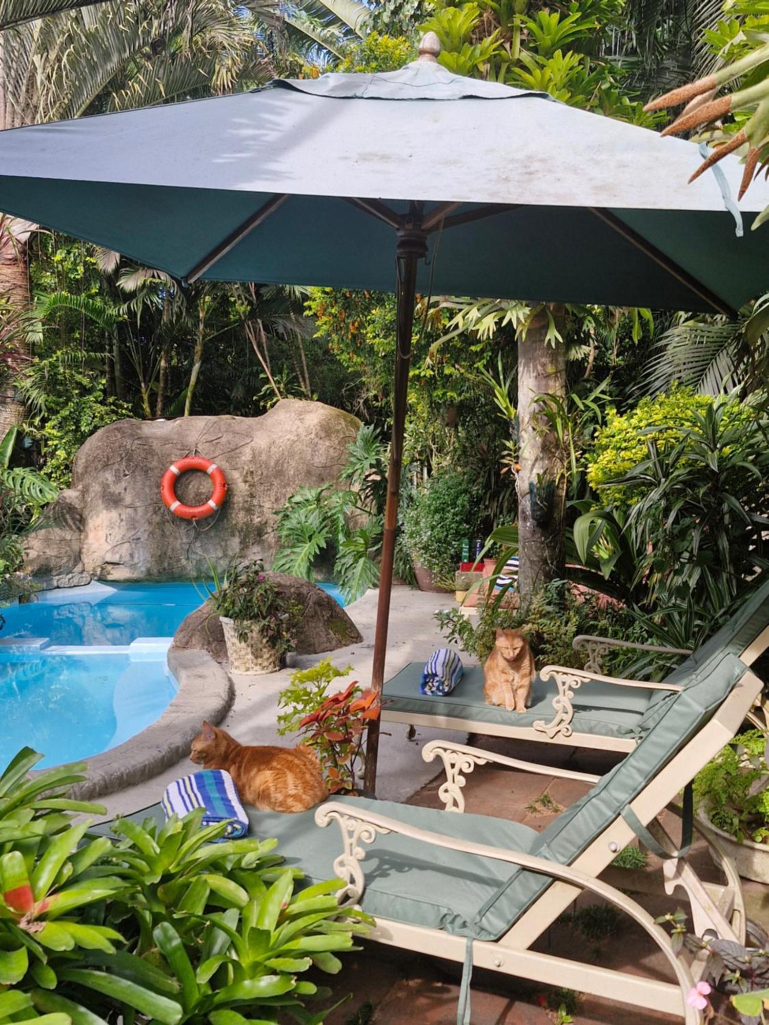 African Ambience Guest House Japaratinga Ngoại thất bức ảnh