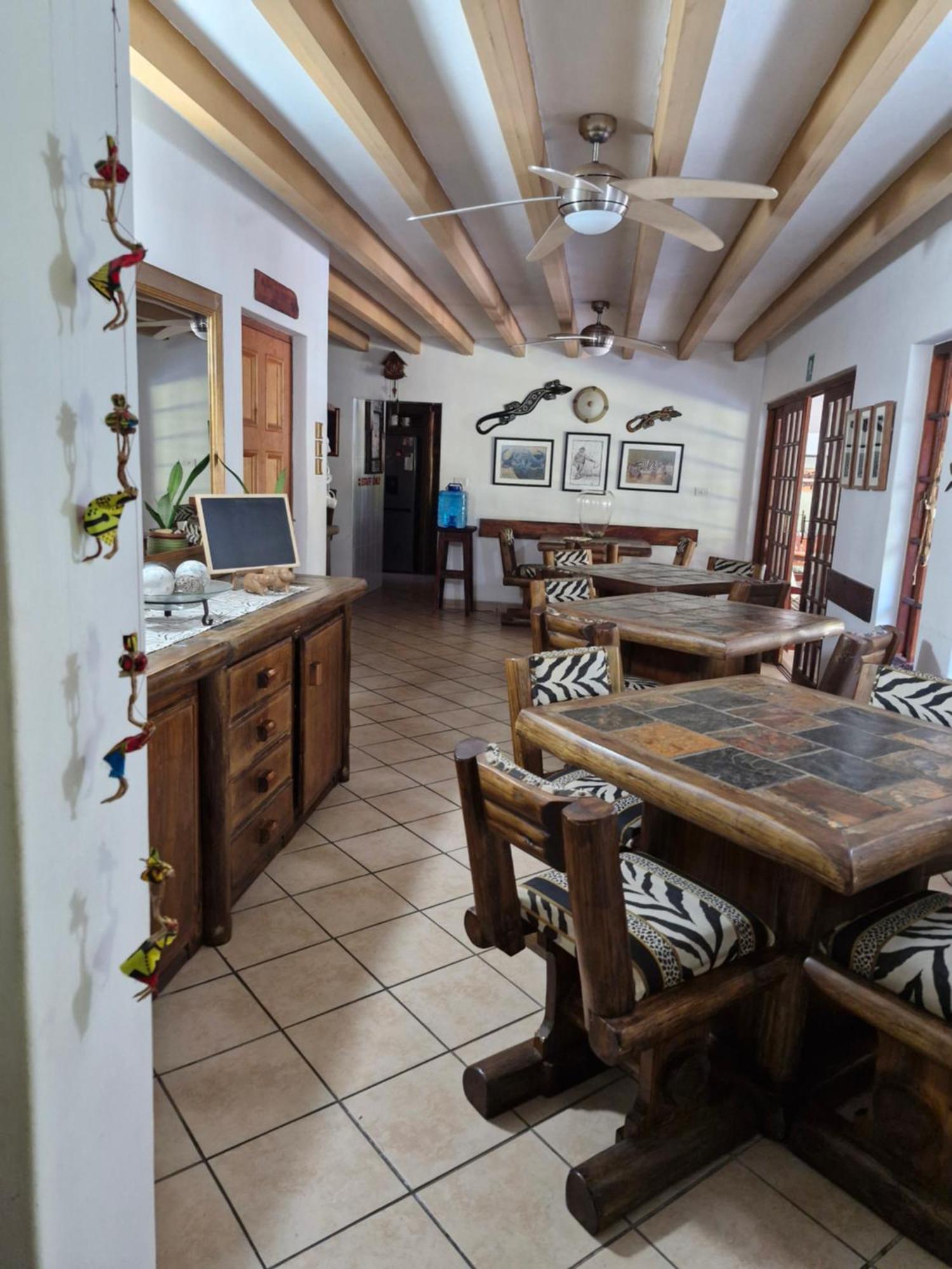 African Ambience Guest House Japaratinga Ngoại thất bức ảnh