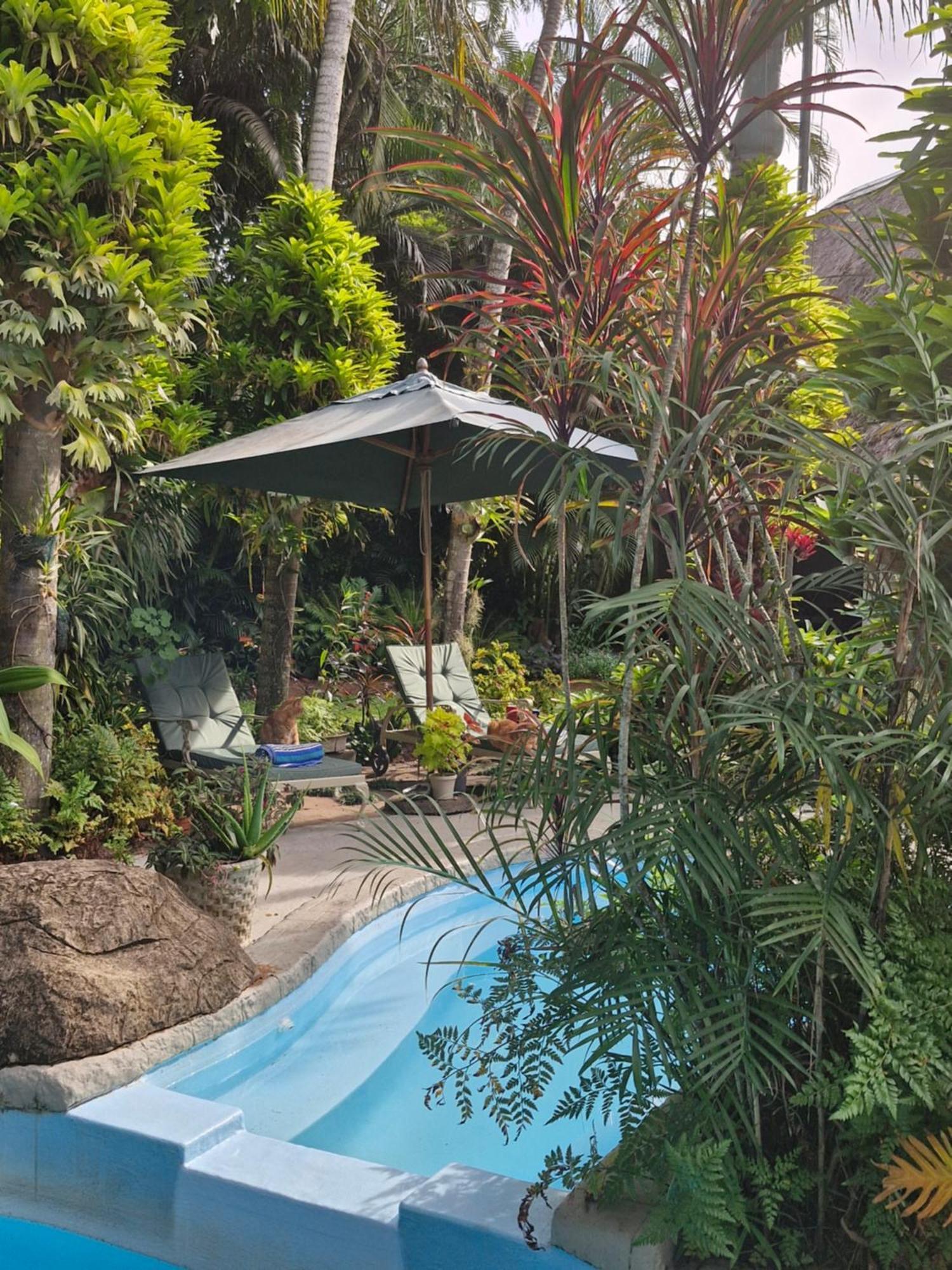 African Ambience Guest House Japaratinga Ngoại thất bức ảnh